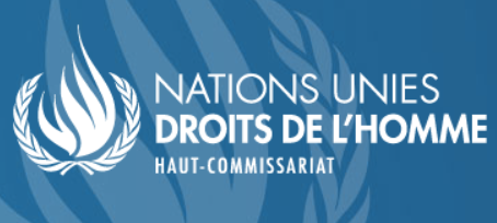 International : Groupe de travail sur les disparitions forcées ou involontaires